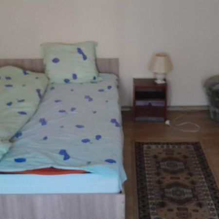 Focsani Apartment-2 Bedroom Balcony Pet Friendly ภายนอก รูปภาพ